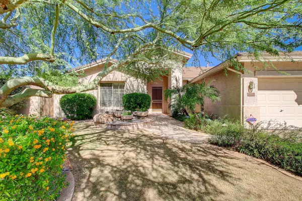 Peoria, AZ 85383,8228 W Via Montoya Drive