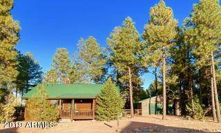 2731 BAIN Trail, Overgaard, AZ 85933