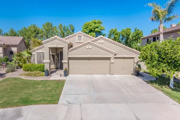 Chandler, AZ 85248,658 W Myrtle Drive