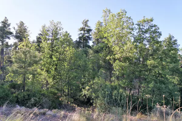 7436 GEMINI Lane #71, Lakeside, AZ 85929