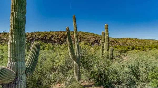 Black Canyon City, AZ 85324,35222 S KINGS Way