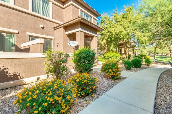 Surprise, AZ 85379,15240 N 142ND Avenue #1095