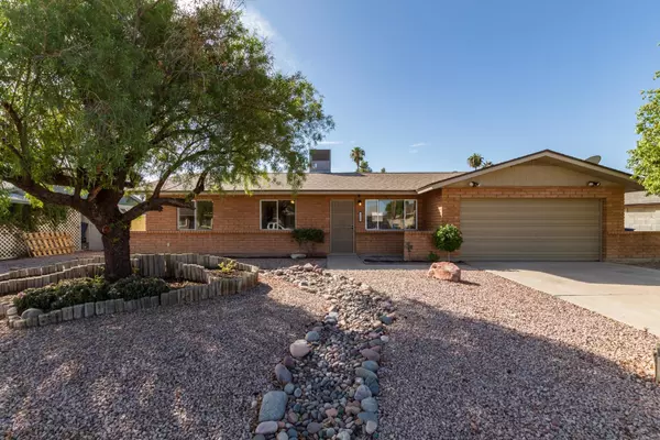 Chandler, AZ 85224,1269 W NOPAL Place