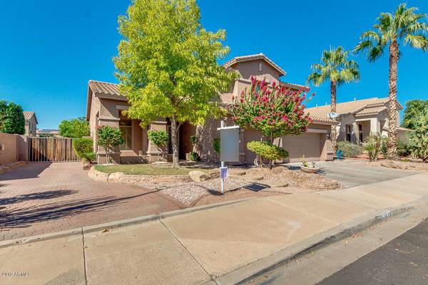 Chandler, AZ 85248,3532 S IOWA Street