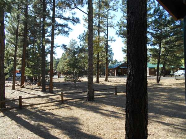 Overgaard, AZ 85933,2727 HIGH PINE Loop