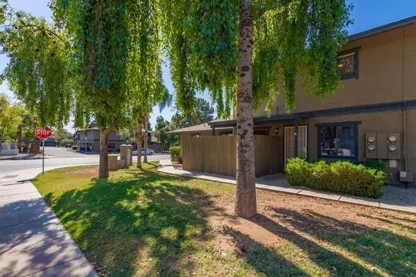 Chandler, AZ 85225,286 W PALOMINO Drive #15