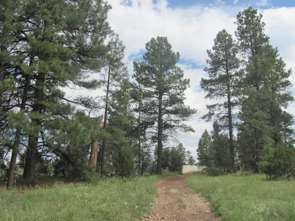 Heber, AZ 85928,1957 Highway 260 -- #172