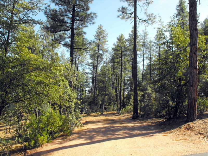 47 Forest Trail -- #47, Pine, AZ 85544