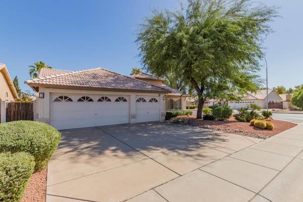 921 N Criss Street, Chandler, AZ 85226