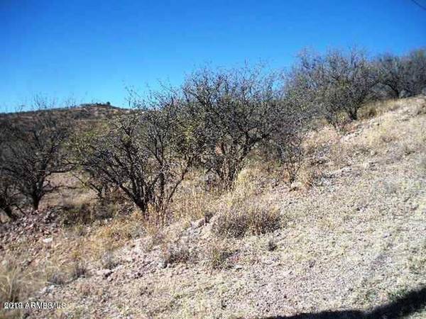 Rio Rico, AZ 85648,1287 CIRCULO YERBA BUENA -- #2