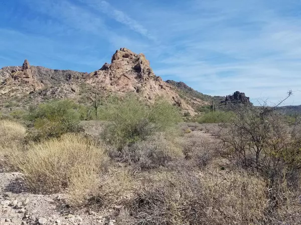 Apache Junction, AZ 85119,0 N Idaho 30 Road #30