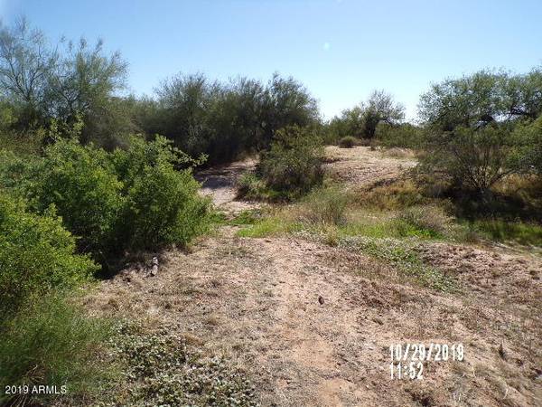 Wittmann, AZ 85361,3 E Griffin Avenue #-