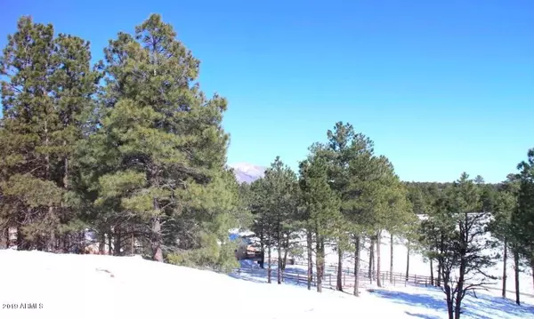 Flagstaff, AZ 86005,3959 S Marble Canyon Trail #383