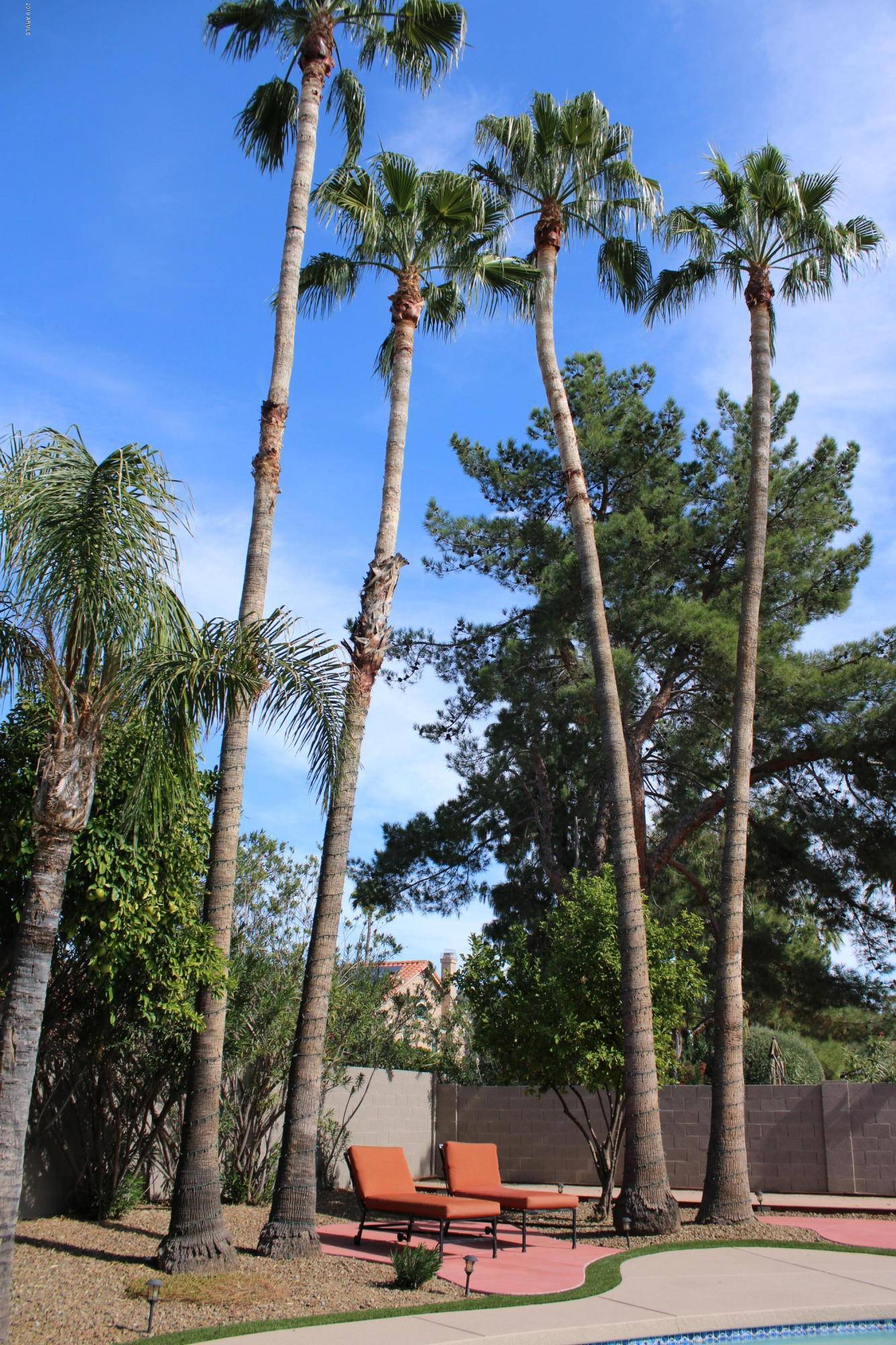 Scottsdale, AZ 85254,5710 E HELENA Drive
