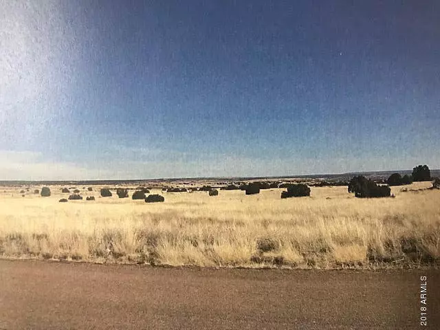 Snowflake, AZ 85937,111 S Otto Drive #-