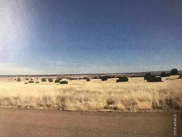 111 S Otto Drive #-, Snowflake, AZ 85937