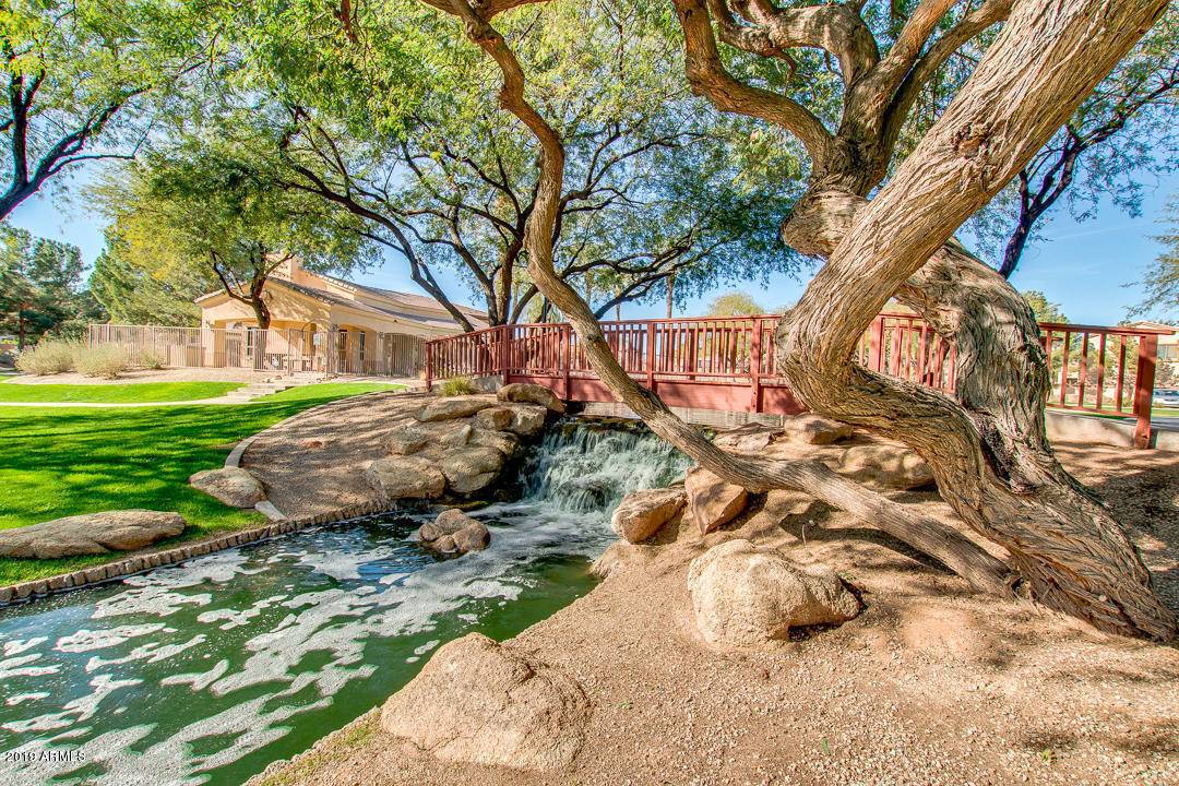Chandler, AZ 85248,2019 W PERIWINKLE Way