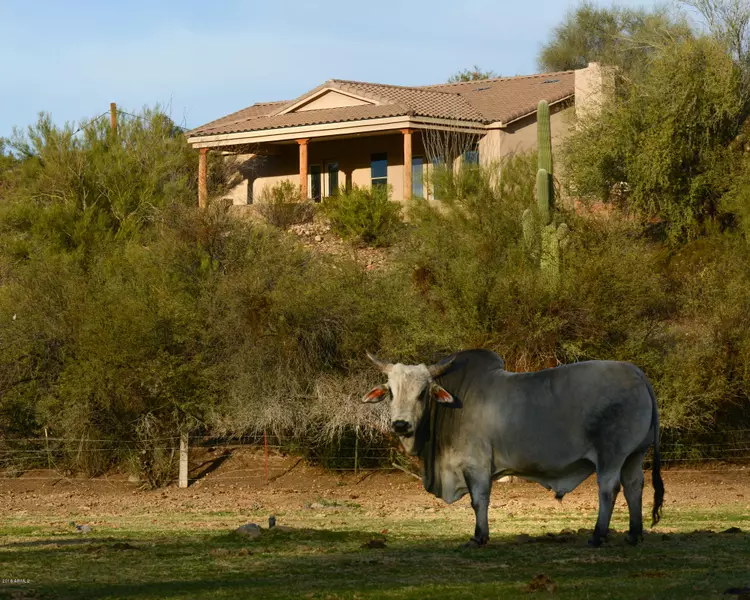 27706 W MCCARROLL Road, Morristown, AZ 85342