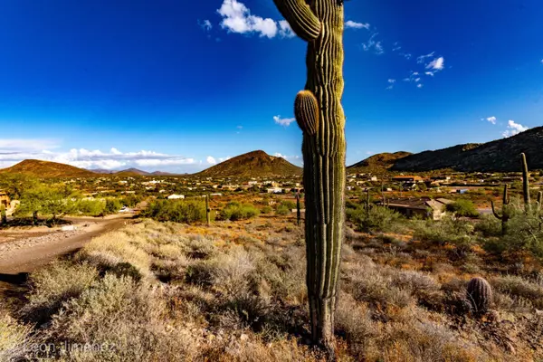 New River, AZ 85087,43316 N 11TH Street
