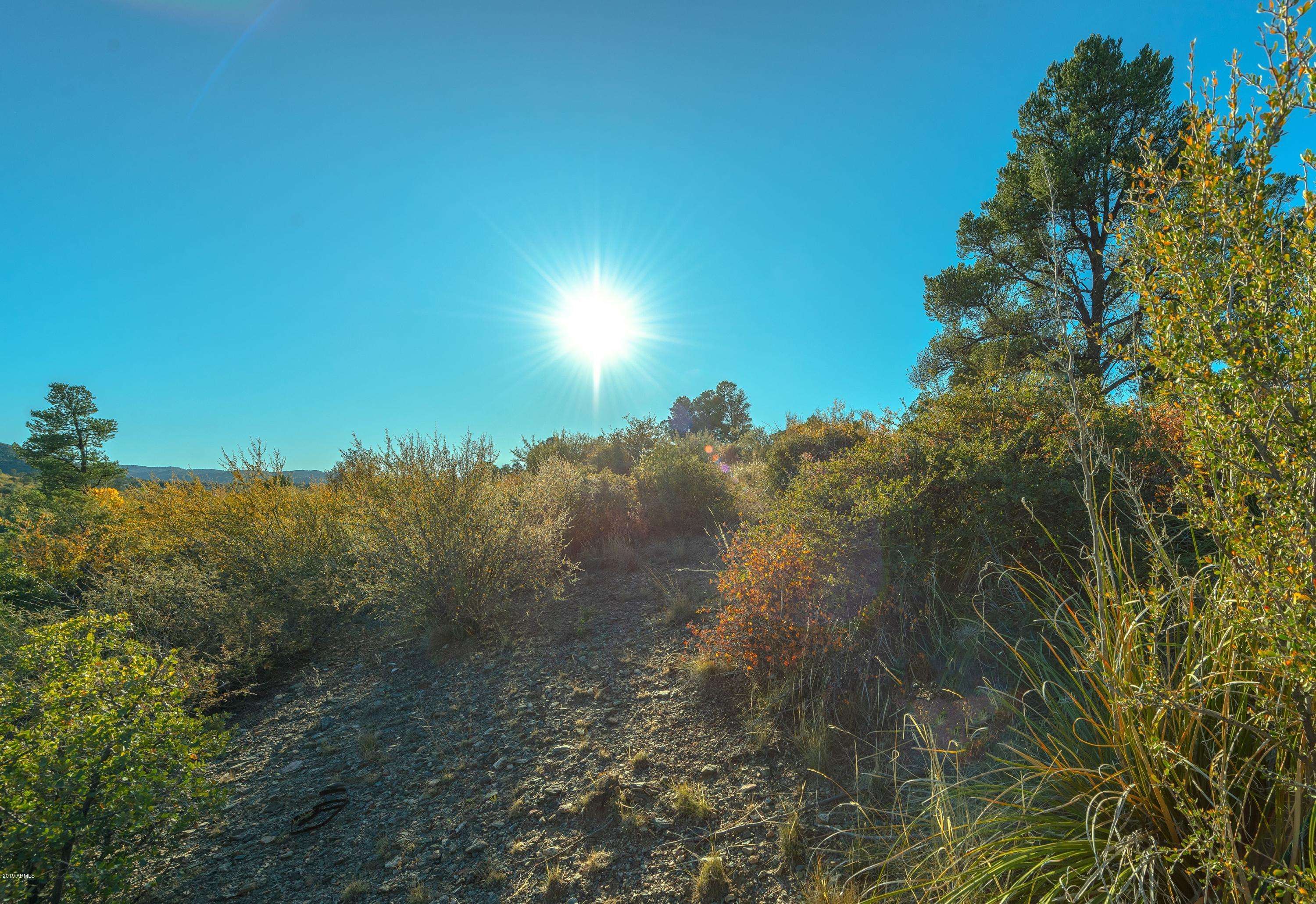 Prescott, AZ 86301,1133 N RHINESTONE Drive #752