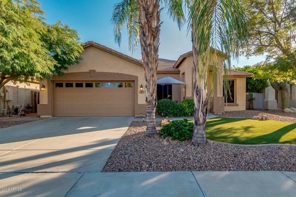 Peoria, AZ 85382,9209 W LONE CACTUS Drive