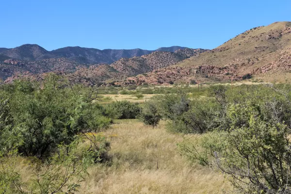 W Pearce Road #168, Pearce, AZ 85625