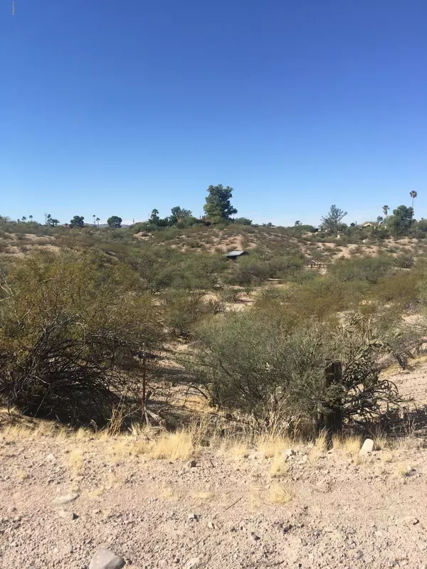 Wickenburg, AZ 85390,206 W HORSESHOE Trail #-