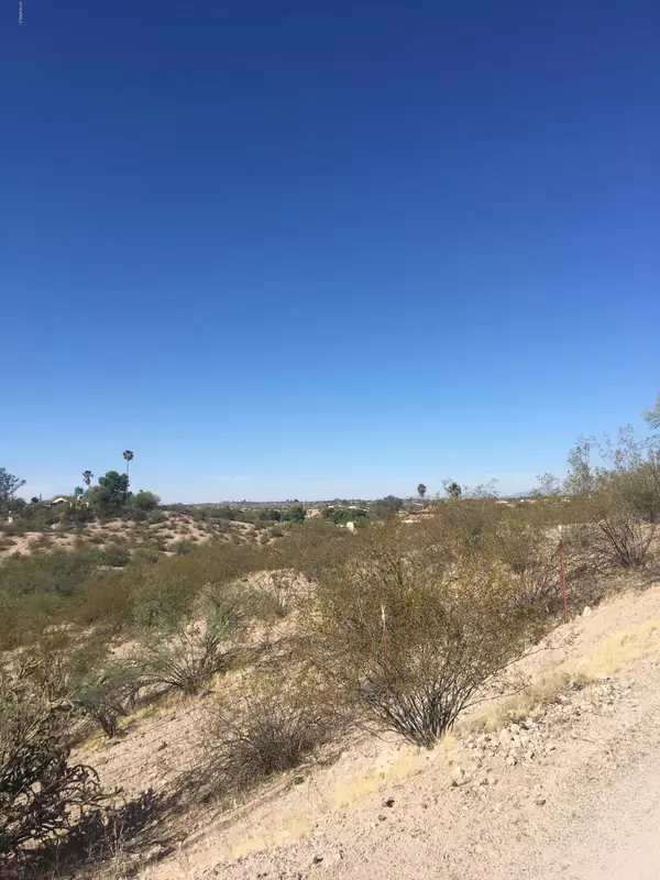 Wickenburg, AZ 85390,206 W HORSESHOE Trail #-