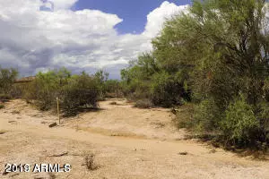 Rio Verde, AZ 85263,17 E Pinnacle Vista Drive #4