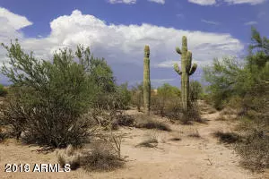 Rio Verde, AZ 85263,17 E Pinnacle Vista Drive #4