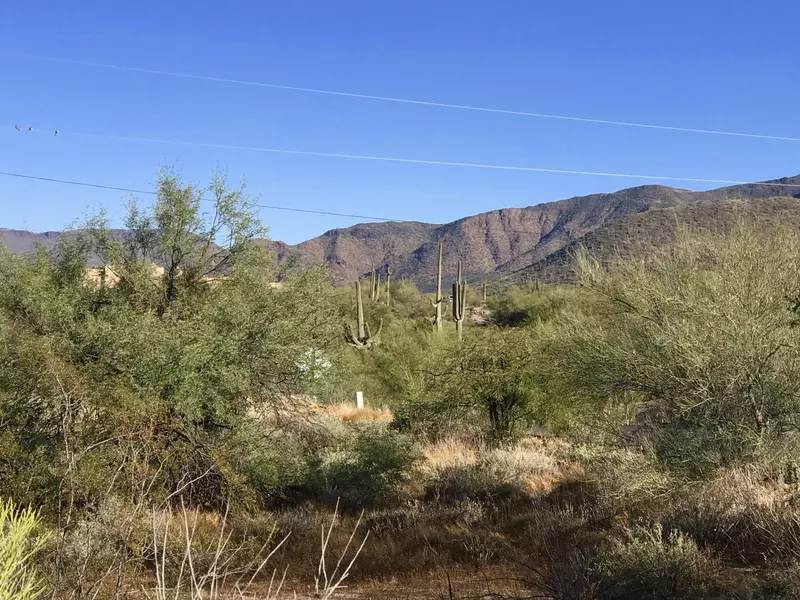 6950 E STEVENS Road #41, Cave Creek, AZ 85331