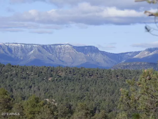 Payson, AZ 85541,700 N FOOTHILLS EAST Circle #6