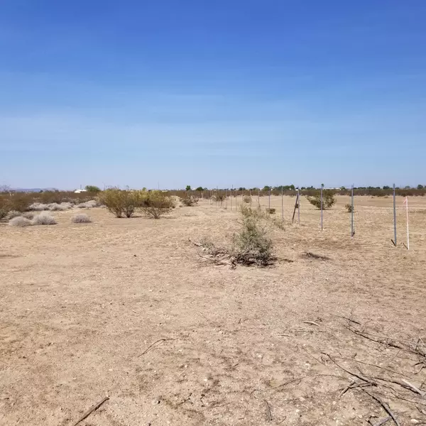 Tonopah, AZ 85354,341 W Lower Buckeye Road #2