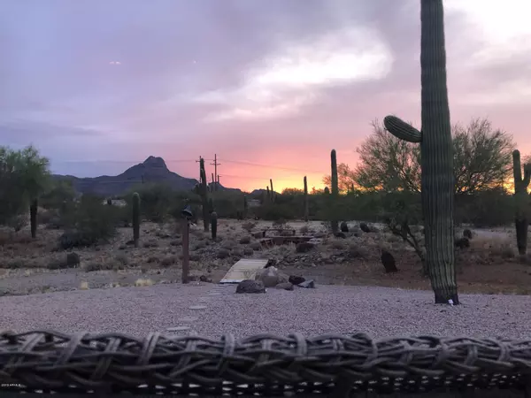 Tucson, AZ 85743,7350 N WADE Road