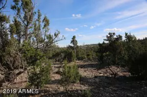 Heber, AZ 85928,3352 Skyline -- #-