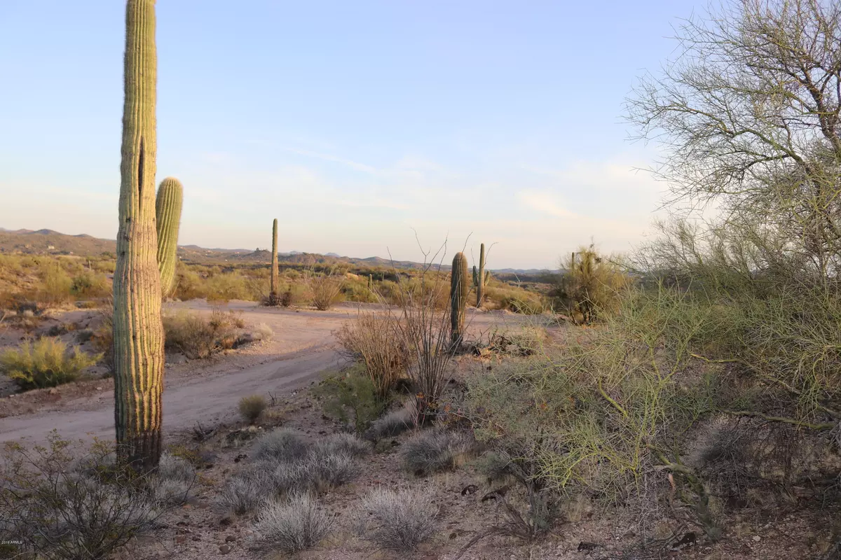 Wickenburg, AZ 85390,0 W Encelia Court