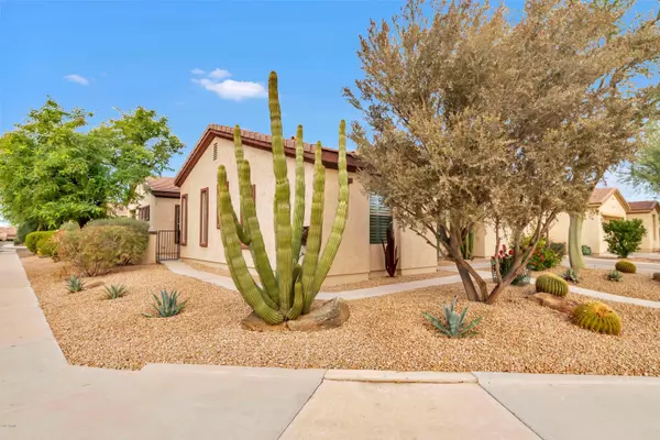Gilbert, AZ 85298,5404 S LANTANA Lane