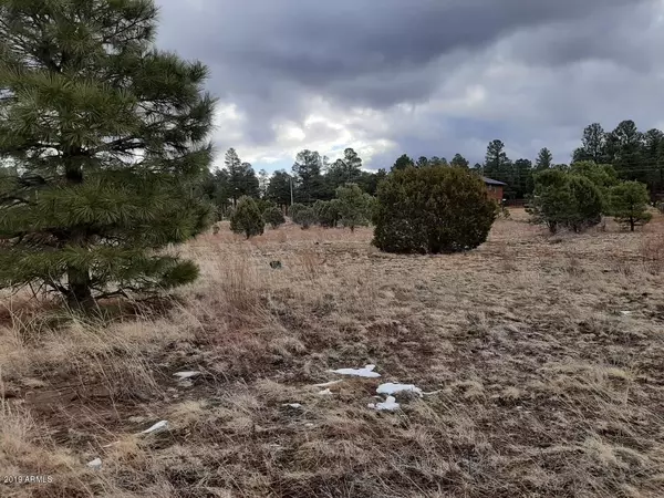 Overgaard, AZ 85933,2283 MEADOW Lane #167