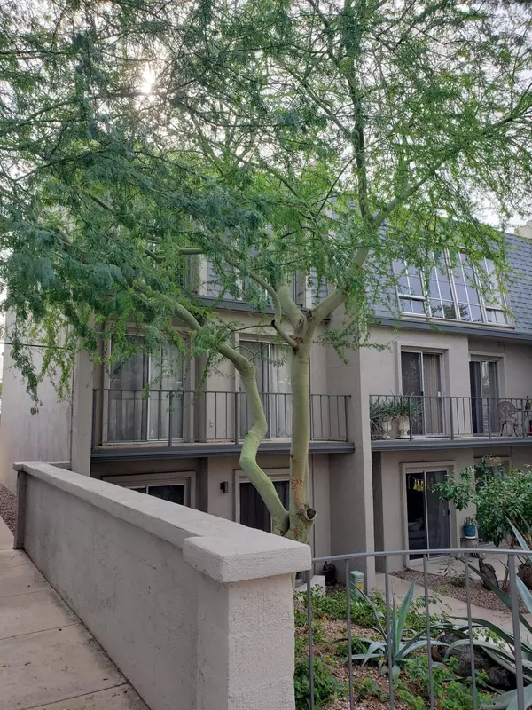 Phoenix, AZ 85014,1012 E OSBORN Road #F