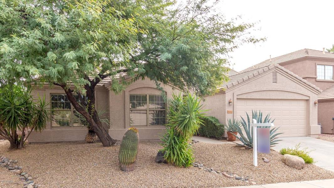 26203 N 43rd Place, Phoenix, AZ 85050