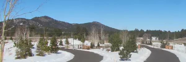 Williams, AZ 86046,1021 STONE HOLLOW Loop #2