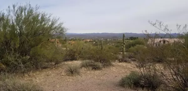 Wickenburg, AZ 85390,925 CACTI VERDE --