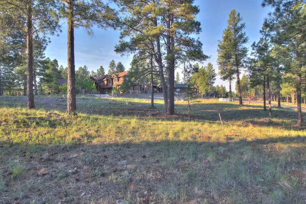 Flagstaff, AZ 86005,1906 E BARRANCA Drive #91