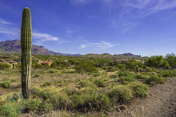 Gold Canyon, AZ 85118,3851 S Summit Trail #08