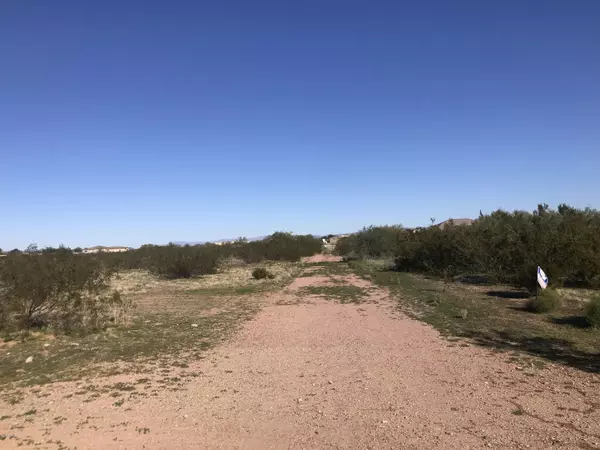 Wittmann, AZ 85361,29000 N 259th Avenue #-