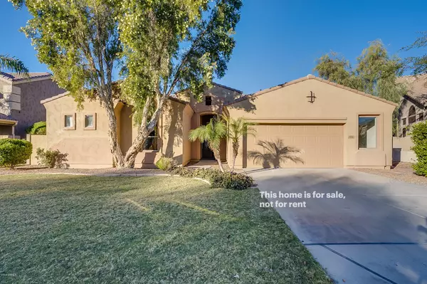 558 N SWALLOW Lane, Gilbert, AZ 85234