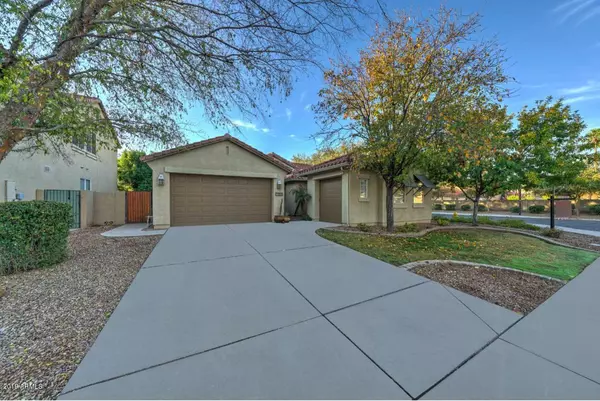 1189 W Mesquite Street, Gilbert, AZ 85233