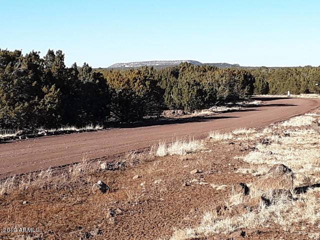 Low Unit 3 Lot #943 -- #943, Concho, AZ 85924