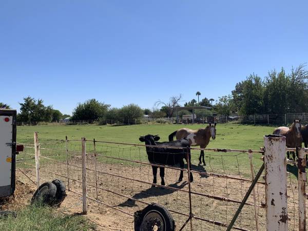 Waddell, AZ 85355,177 W PEORIA Avenue #-