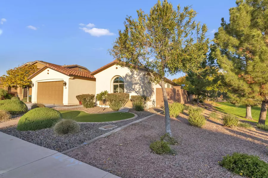 302 W LEATHERWOOD Avenue, Queen Creek, AZ 85140